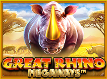 vswaysrhino