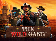 vswayswildgang